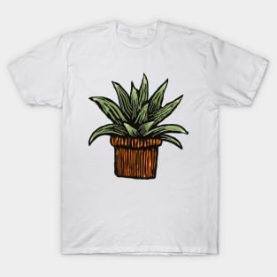 Aloe T-Shirt